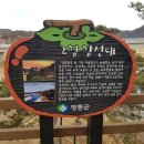 봉양정 | 충북 영동 양산팔경 금강둘레길 여유로운 풍경을 만끽하는 볼거리