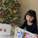 예일반 안채이 북트리🎄❤️ 이미지