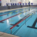 토마토 수영장 이미지