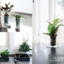 초록인테리어 - 성남시 분당구 발이봉북로 29 | 초록인테리어
