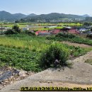 월가공인중개사사무소 이미지