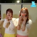 스텔라 이미지