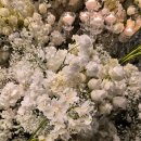 더케이호텔서울 | 더링크호텔 서울 신도림 베뉴 웨딩 하객 후기