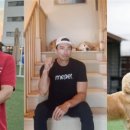 도그플래닛 이미지