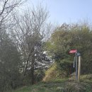 매봉산2길 이미지