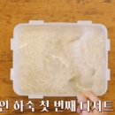 감탄식혜