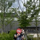 농심가락 - 영등포구 | [대전] 한화생명볼파크 121구역, 농심가락 후기