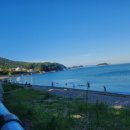 도시어부낚시카페 이미지