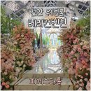 천안 베리컨벤션 웨딩홀 피에스타홀 리뉴얼 솔직후기 (+주차, 셔틀버스, 라벤더홀과 비교)