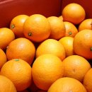 평안농장 이미지