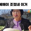 보다스테이 더펜트 이미지