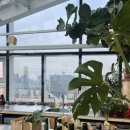 용산-이촌-496 이미지