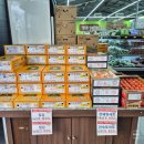 시청중심로 이미지