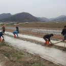 산양3리 이미지