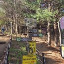 천주산 누리길 | [경남 창원] 13년만에 첫 등산, 천주산 진달래 군락지 실시간🌸