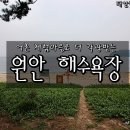 용신18 이미지