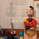 몸편한세상 | 세종 나성동 마사지 추천｜몸편한세상 목·어깨 집중 관리 후기