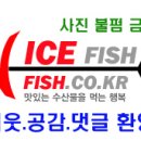 비인반점