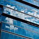 성남 시립동물병원 이미지