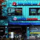 굿파파 24시 반려동물건강검진센터 이미지