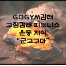 고짐감래