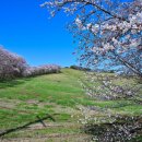 동영목장 이미지