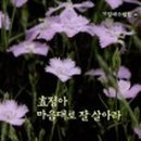 도서출판 효정