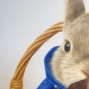 연필 & 색연필화 | 파란박스의 선물💙 스테들러 소프트 유성색연필 후기