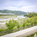 행복한숲 Happy forest 이미지