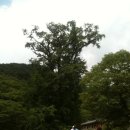 龍門山(迦葉峰1157)