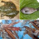 더위~~싹~~~물회 한그릇 하세요... 이미지