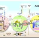 성막 강해_27 (대언, 교회안에 문제 등), 28 (나팔절) : (정동수 목사, 사랑침례교회,킹제임스 흠정역 성경) 이미지