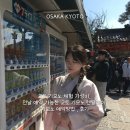 체험 가성비, 전날 예약 가능한 교토 기모노 렌탈레이 기모노 예약방법 , 후기 (기본 기모노 / 기본 헤어)