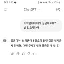 머임 ㄷㄷ 챗지피티 4.0은 반말도쓰네? 이미지