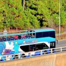 2025 6월 시티투어 이미지