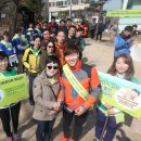 그린피버 이미지