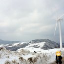 훈이목장 이미지