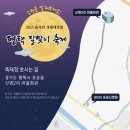 달맞이 이미지