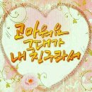 모움 Daum카페