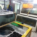 영천수산 이미지