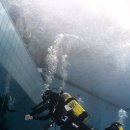 민트스쿠버 이미지