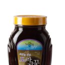 자연샘 Daum카페