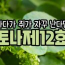 주식회사 엘로스바이오