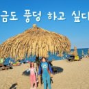 위대한게스트 이미지