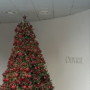 달다온케이크 | 서울 명동 대형카페 추천｜베이커리 종류가 미쳤던 오비르 카페 솔직후기