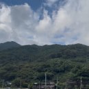 카페더로그앤통나무집 이미지