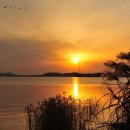 금강노을 이미지