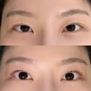 (주)월포트인더스트리 | 신촌속눈썹펌ㅣ자연스럽고 탱글한 컬링 원한다면 주넬브로우 추천!