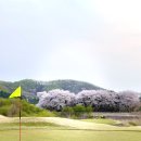 그린클럽 골프연습장 이미지