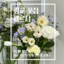 [수원] 트랜디한 광교 꽃집 베르디 맞춤제작 색감맛집 광교 꽃다발